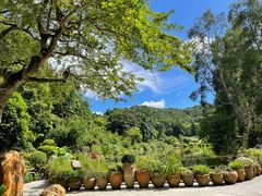 -深圳仙湖植物园