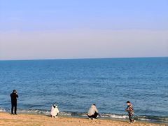 -巧克力渔家.小船海鲜胶东菜(万平口店)