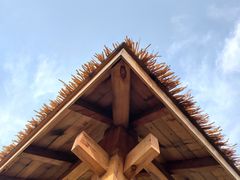 -艾溪湖湿地公园