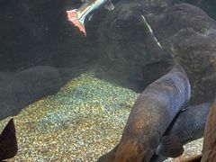 -太平洋海底世界