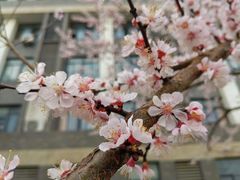 -安徽大学(磬苑校区)