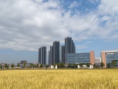 -光明小镇欢乐田园
