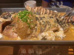 -鱼酷活鱼烤鱼(静安大融城店)