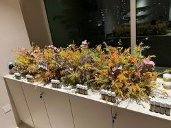 -芳香乐府疗愈空间·SPA·冥想