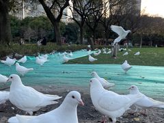 -人民广场