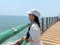 -广东惠东海龟国家级自然保护区