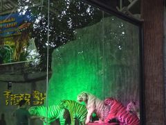 -清迈夜间动物园