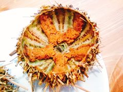 -海胆小馆(东北水饺·春柳店)