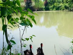 -长兴太湖图影湿地文化园