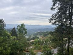 -紫鹊界梯田景区