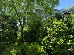 -深业半汤御泉庄温泉