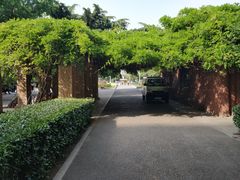 -大连人民广场