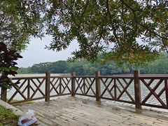 -番禺大夫山森林公园