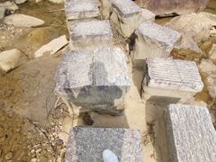 -广州白江湖森林公园