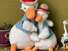 -三忘湖 SWANSEEN(柳荫公园店)