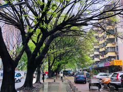 -新世界餐厅(万达店)