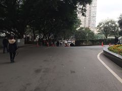 -重庆医科大学附属第一医院(本部)