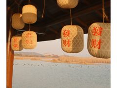 -苏州太湖湖滨国家湿地公园