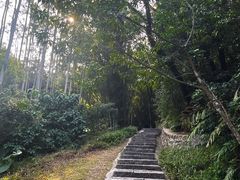 -黄埔油麻山森林公园