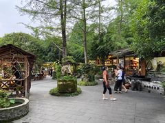 -青城甲(青城山店)