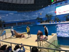 -泉城欧乐堡海洋极地世界