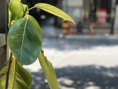 -常识咖啡common sense(春熙路店)