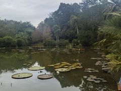 -中国科学院西双版纳热带植物园