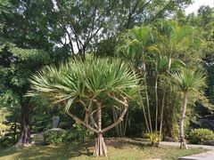 -深圳国际园林花卉博览园