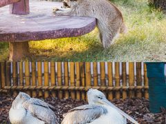 -茅山东方盐湖城景区