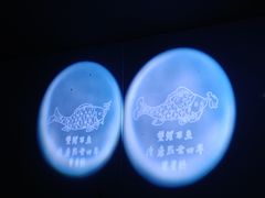 -白鹤梁水下博物馆