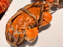 -七星龙虾城·海鲜·大闸蟹(吴江店)