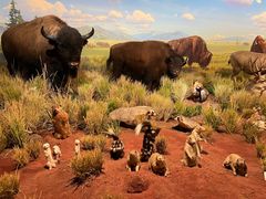 -陕西自然博物馆