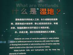 -中国湿地博物馆