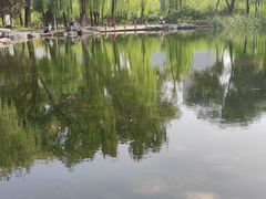 -玲珑塔公园