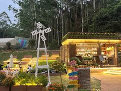 -广州白江湖森林公园