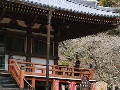 -醍醐寺