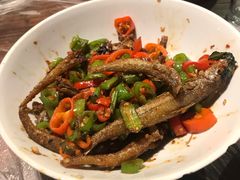 -壹盏灯(惠农店)