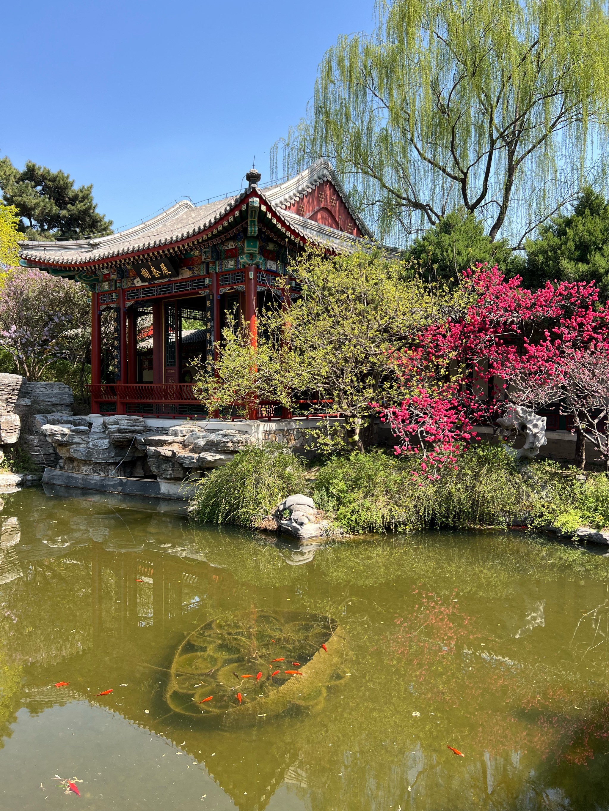 北京园博园:汇聚各地园林精华