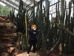 -南通洲际绿博园