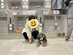 -北京派仕佳德动物医院·超导核磁·CT·神经科·骨科·内外科·急重症管理中心