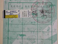 -谐和益家动物医院·免疫绝育·血液透析·宠保定点医院(高新伊藤分院)