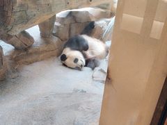 -宁波野生动物园