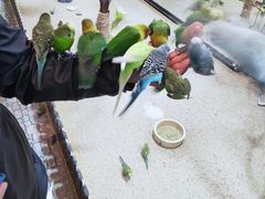 -上海大自然野生昆虫馆(东方明珠·爬宠昆虫探索中心)