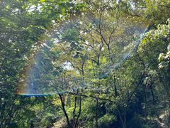 -羚羊峡古栈道森林公园