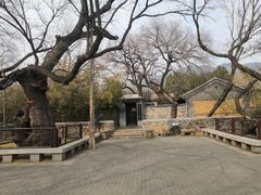 -国家植物园南园