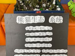 -宾果蒙特梭利托育儿童之家幼儿园(爱琴海店)