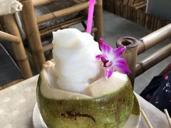 -Jungle Kitchen