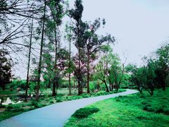 -两河城市森林公园
