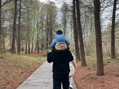 -苏州太湖国家湿地公园
