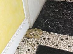 -澳门十六浦索菲特大酒店